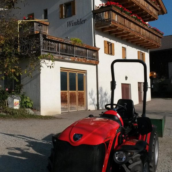 Fink Anton - Winklerhof 